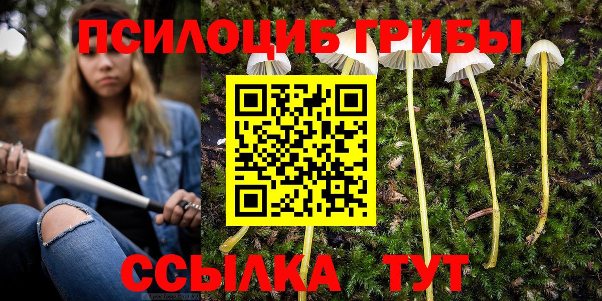 Галлюциногенные грибы мицелий  купить закладку  Мелеуз  Вход с VPN 
