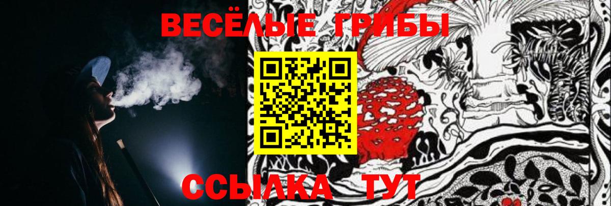 Галлюциногенные грибы Psilocybe Мелеуз